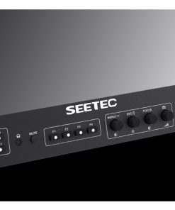 SEETEC FS173-S4K