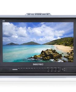 SEETEC P173-9HSD-CO